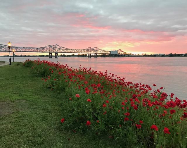 Riverboat Bed & Breakfast Natchez Exterior foto